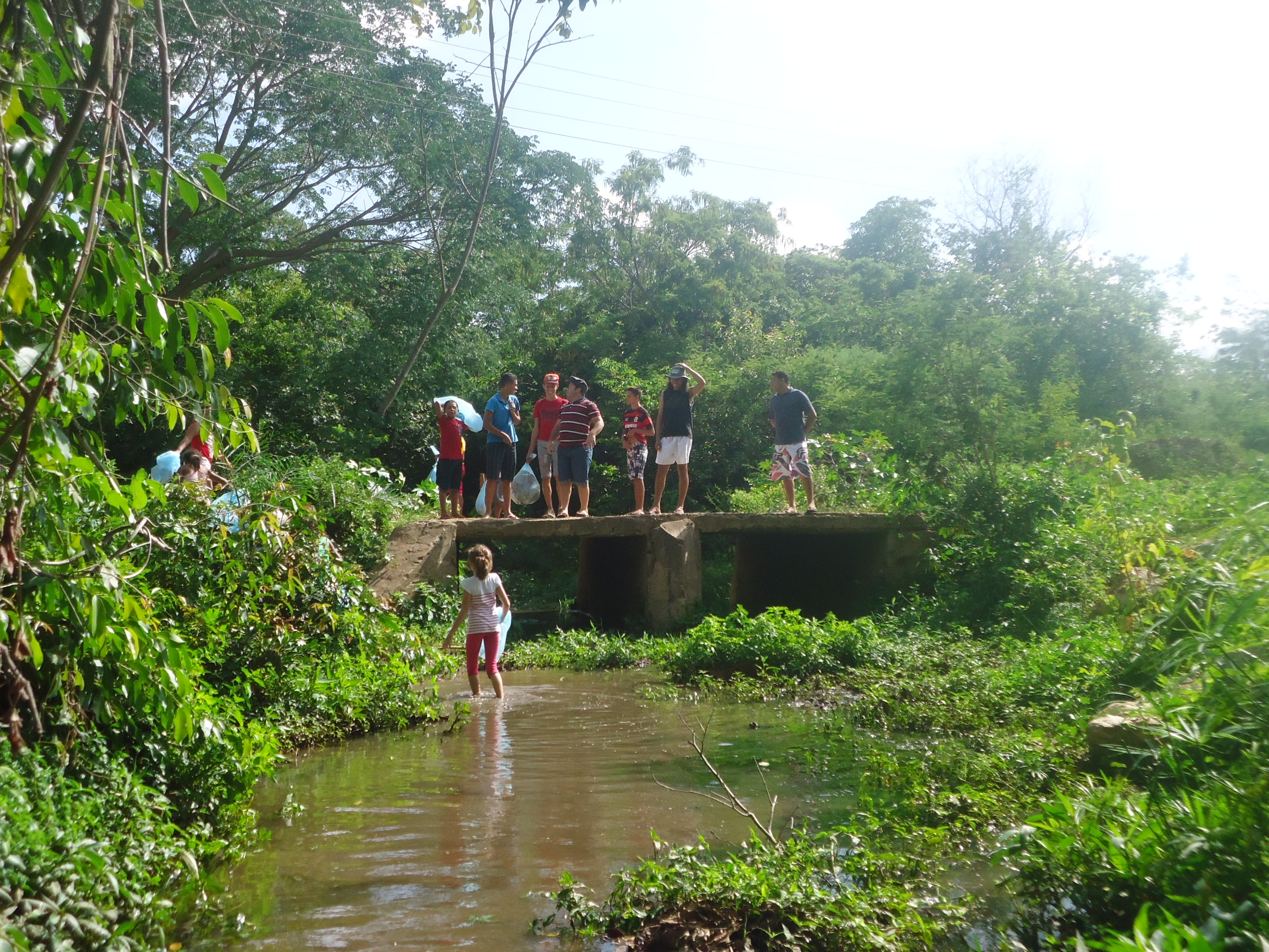 carrapatocultural.com